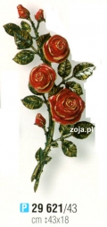 Róża Caggiati czerwona nr 29621/43