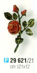 Róża Caggiati czerwona nr 29621