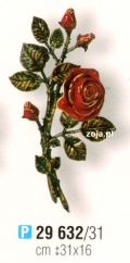 Róża Caggiati czerwona nr 29632/31