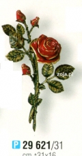 Róża Caggiati czerwona nr 29621/31