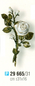 Róża Caggiati biała nr 29665/31