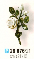 Róża Caggiati biała nr 29676/21